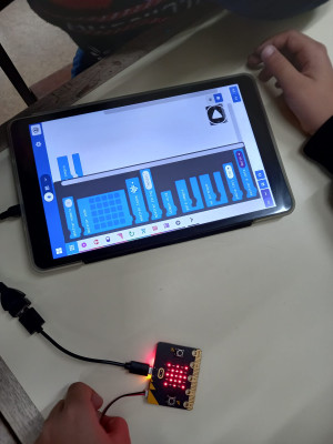 Christmas Coding - micro:bit Decorations